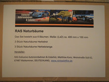 Laden Sie das Bild in den Galerie-Viewer, Naturbäume Herbst Packung