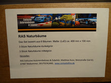 Laden Sie das Bild in den Galerie-Viewer, Versandbox Modellbau Naturbäume hellgrün dunkelgrün RAS