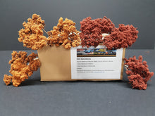 Laden Sie das Bild in den Galerie-Viewer, Modellbau Naturbäume Herbst