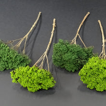 Laden Sie das Bild in den Galerie-Viewer, Modellbau Naturbäume grün 
